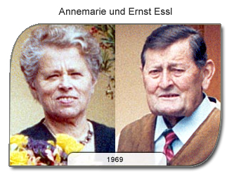 Annemarie-und-Ernst-Essl